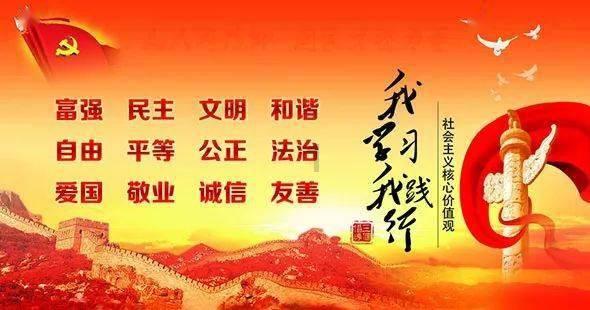 见缝插刀2