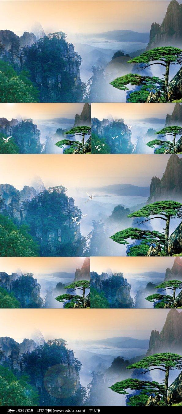 成长家园